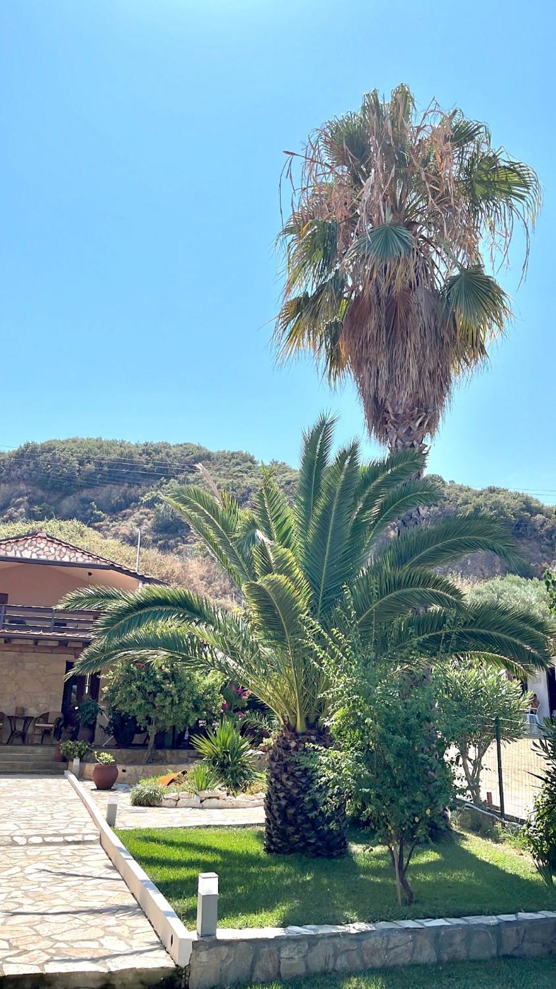 Palma Beach House Sarti Bagian luar foto