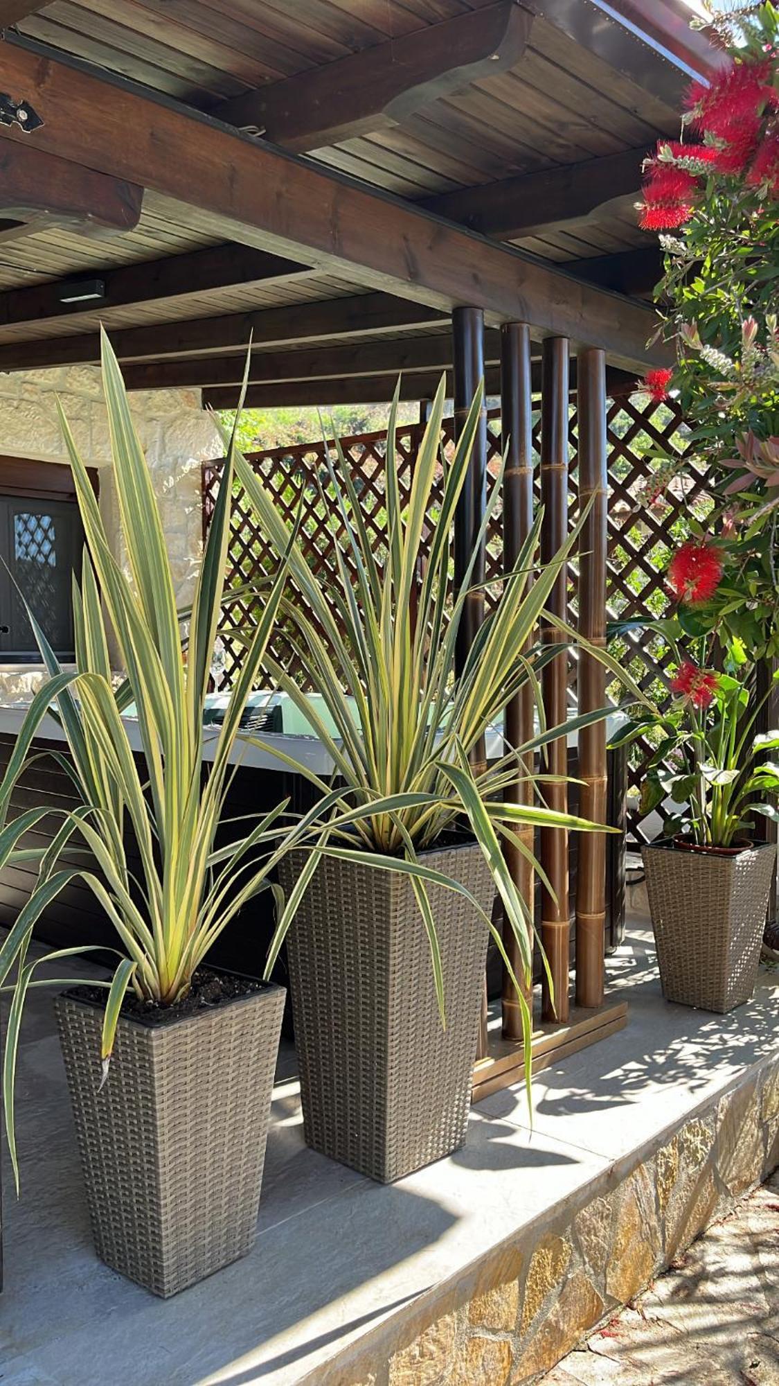 Palma Beach House Sarti Bagian luar foto